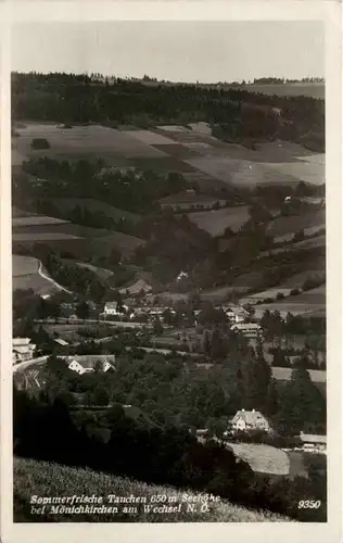 Sommerfrische Tauchen bei Mönichkirchen a. Wechsel, -311950