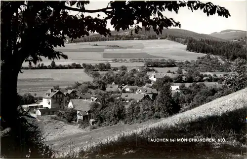 Sommerfrische Tauchen bei Mönichkirchen a. Wechsel, -311970