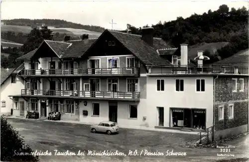 Tauchen bei Mönichkirchen, Gasthof u. Pension Schwarz -313112