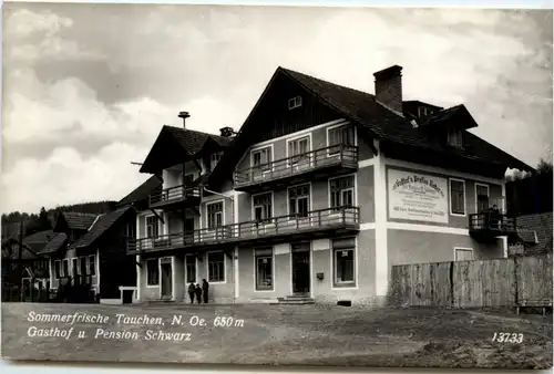 Tauchen bri Mönichkirchen, Gasthof Schwarz -313132