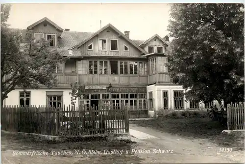 Sonstige Niederösterreich - Tauchen bei Mönichkirchen, Gasthof Schwarz -313102