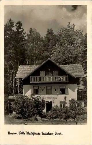 Tauchen bei Mönichkirchen, Pension Villa Waldfriede -313120