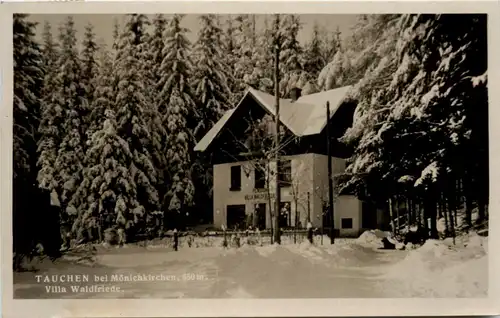 Sonstige Niederösterreich - Tauchen bei Mönichkirchen, Villa Waldfriede -313104