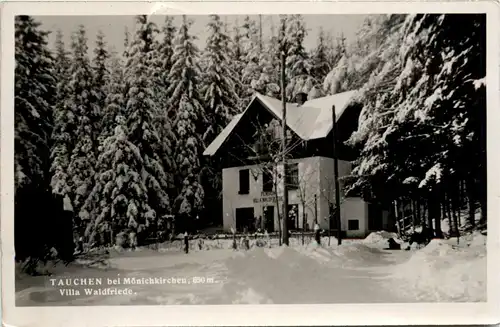 Sonstige Niederösterreich - Tauchen bei Mönichkirchen, Villa Waldfriede -313096