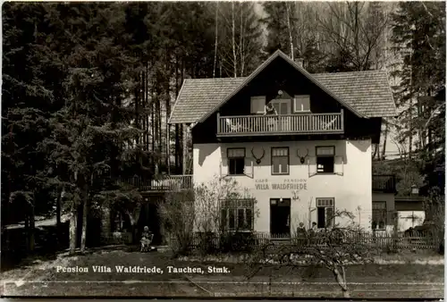Tauchen bri Mönichkirchen, Pension Villa Waldfriede -313134