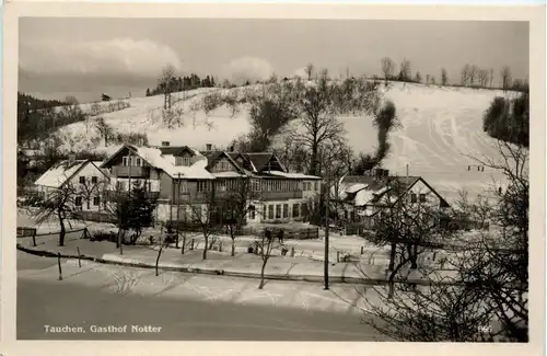 Sonstige/Niederösterreich - Tauchen bri Mönichkirchen, Gasthof Notter -313136