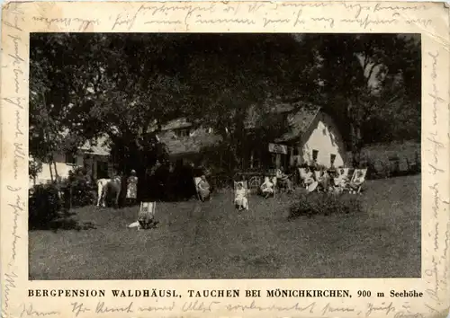 Sonstige/Niederösterreich - Bergpension Waldhäusl, Tauchen bei Mönichkirchen -313344
