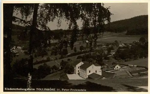 St.Peter Freienstein/Steiermark - Kindererholungsheim Tollinhöhe -306342