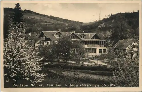 Sommerfrische Tauchen bei Mönichkirchen a. Wechsel, Pension Noller -311966