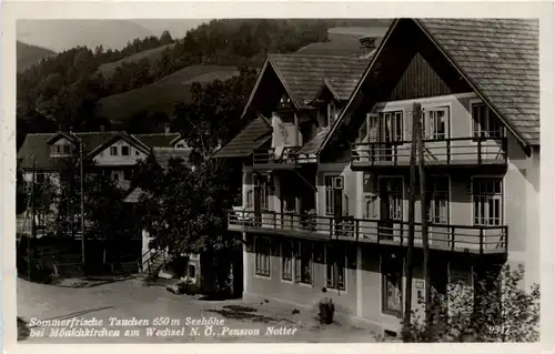 Sommerfrische Tauchen bei Mönichkirchen am Wechsel, Pension Notter -313346