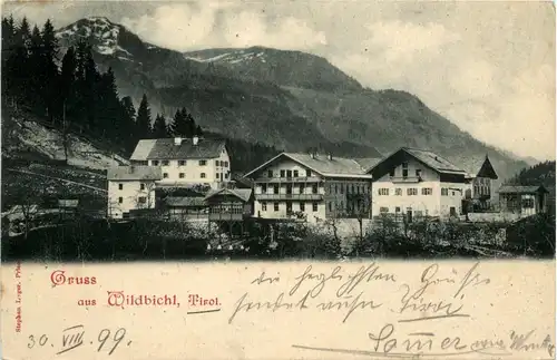 Sonstige/Tirol - Gruss aus Wildbichl, Tirol -313280