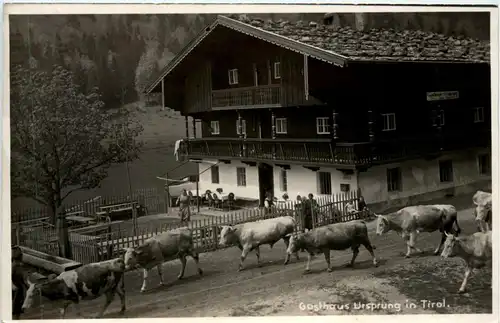 Sonstige Tirol - Gasthaus Ursprung in Tirol -313320