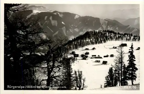 Aflenz/Steiermark - Bürgeralpe -306760