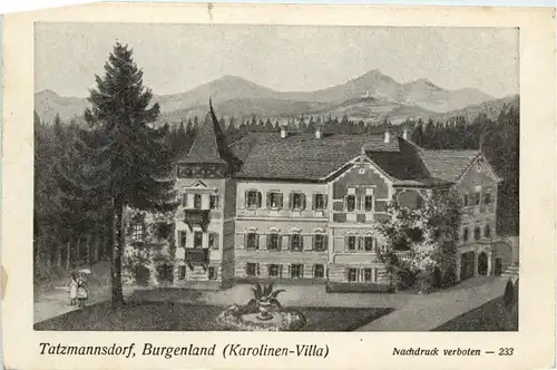 Sonstige Burgenland - Kurort Bad Tatzmannsorf, Karolinen-Villa -313066