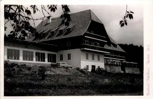 Sonstige Niederösterreich - Tauchen bei Mönichkirchen, -313106