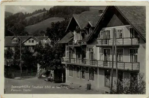 Sonstige/Niederösterreich - Tauchen bri Mönichkirchen, Pension Noller -313126