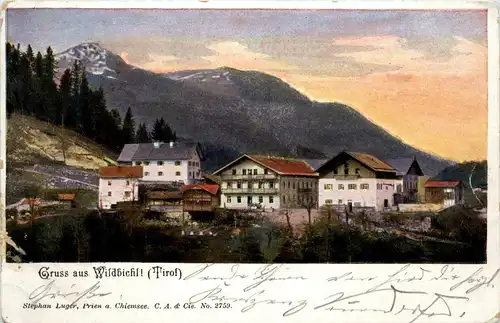 Sonstige/Tirol - Gruss aus Wildbichl -313192