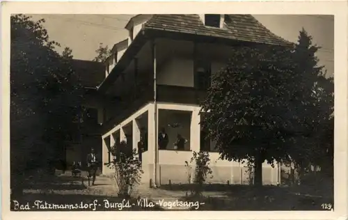 Sonstige Burgenland - Bad Tatzmannsdorf, Villa Vogelsang -313336