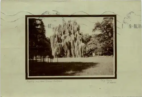 Graz/Steiermark Graz, Partie aus dem Grazer Stadtpark -313414