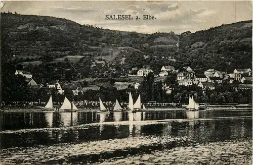 Salesel -233692