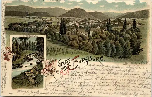 Gruss aus Bad Harzburg - Litho -235122