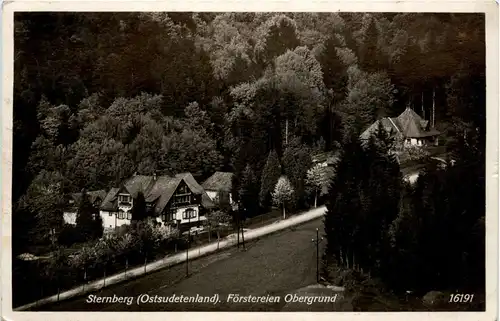 Sternberg - Förstereinen Obergrund -234232