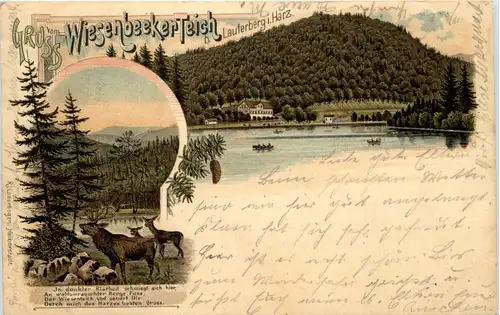 Gruss vom Wiesenbeeker Teich bei Lauterberg - Litho -235138