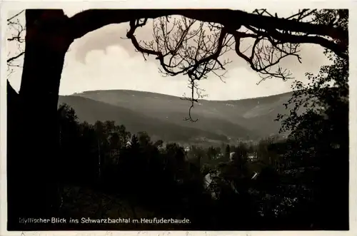 Schwarzbachtal mit Heufuderbaude -233704