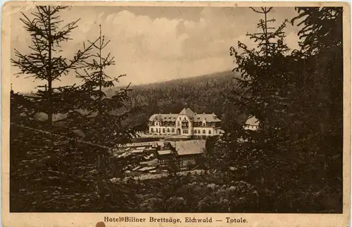 Eichwald - Hotel Biliner Brettsäge -234104