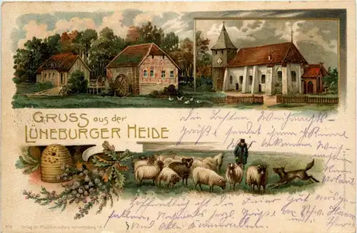 Gruss aus der Lüneberger Heide - Bienen Schafe - Litho -236628