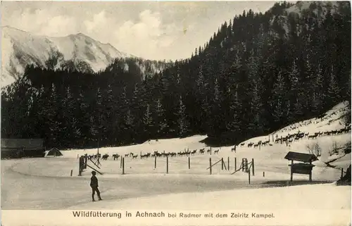 Leoben/Steiermark - Wildfütterung in Achnach bei Radmer mit dem Zeiritz Kampel -307290