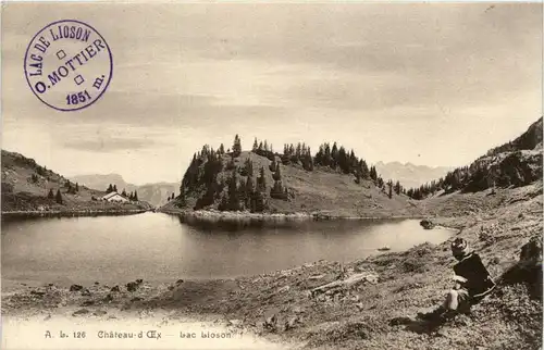 Chateau d Oex - Lac Lioson -232916