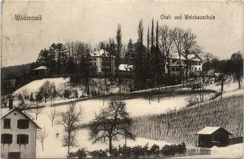 Wädenswil - Obst und Weinbauschule -232814