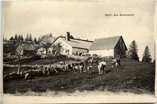 Sur Sommartel -233086