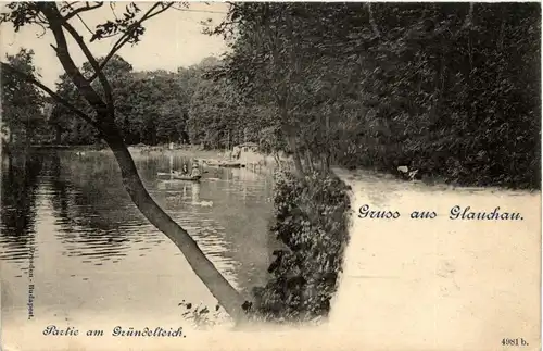 Gruss aus Glauchau - Gründleteich -233264