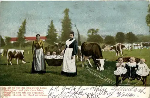 Kinder Kühe cow -238044