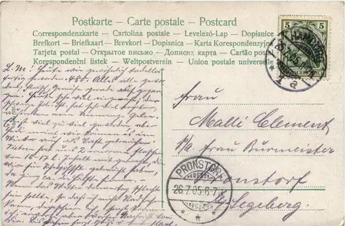 Kinder Kühe cow -238044