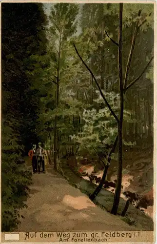 Auf dem Weg zum gr. Feldberg - Litho -236326