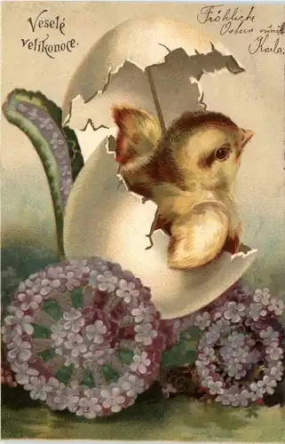 Ostern - Chicken -254622