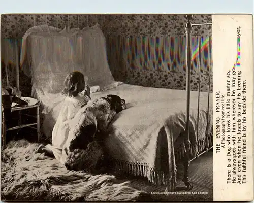 Kind mit Hund -237602