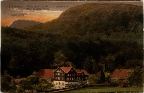 Steinbergen - Wolbrechts Hotel -238948