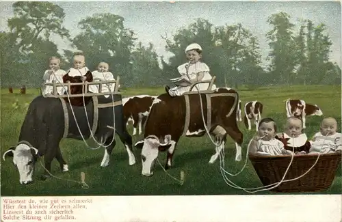 Kinder Kühe cow -238046