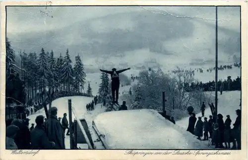 Skispringen - Waltersdorf -238192