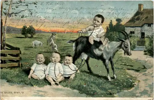 Kinder Ziege Goat -238042