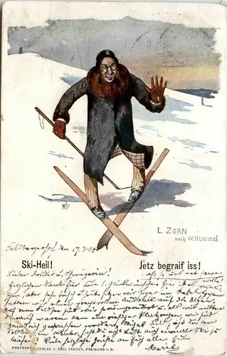 Skifahren - Künstlerkarte L. Zorn nach Hummel -238126