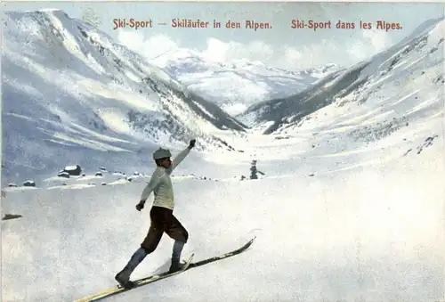 Skifahrer in den Alpen -238186