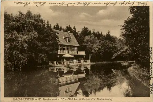 Bad Munder - Restauration Zum Waldschlösschen -239112