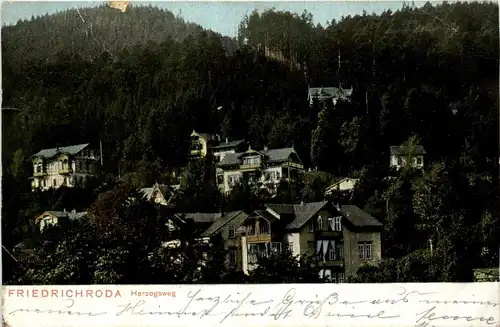 Friedrichsroda - Herzogsweg -239172