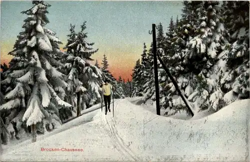 Ski Langlauf -238116
