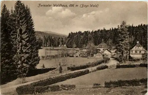 Zwiesel Waldhaus -240066
